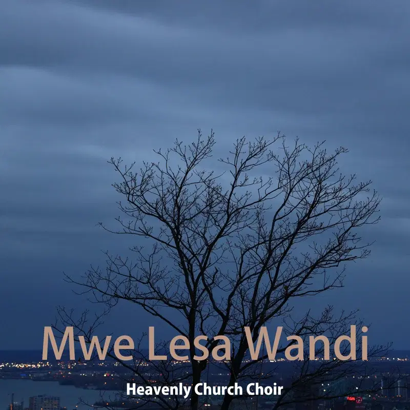 Mwe Lesa Wandi