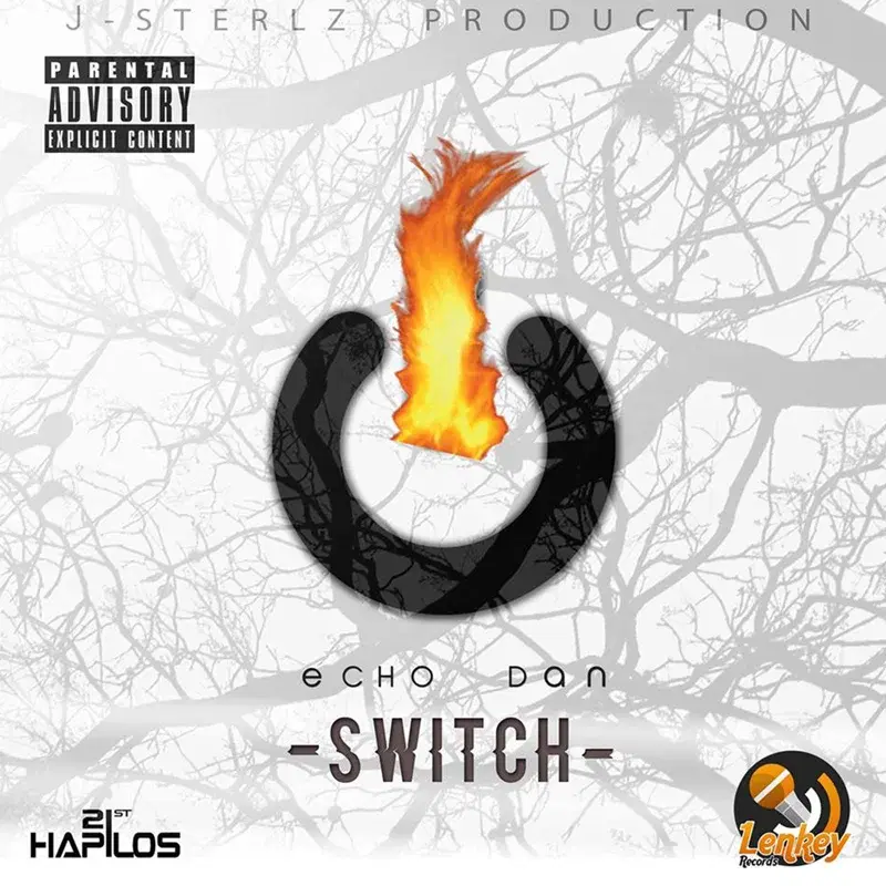 Switch - Single