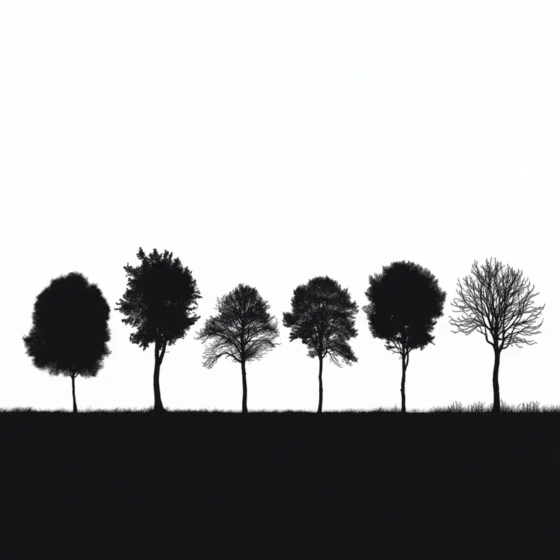 Seasons