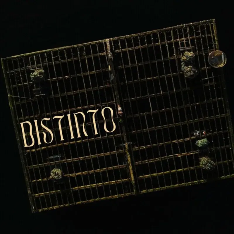 Distinto