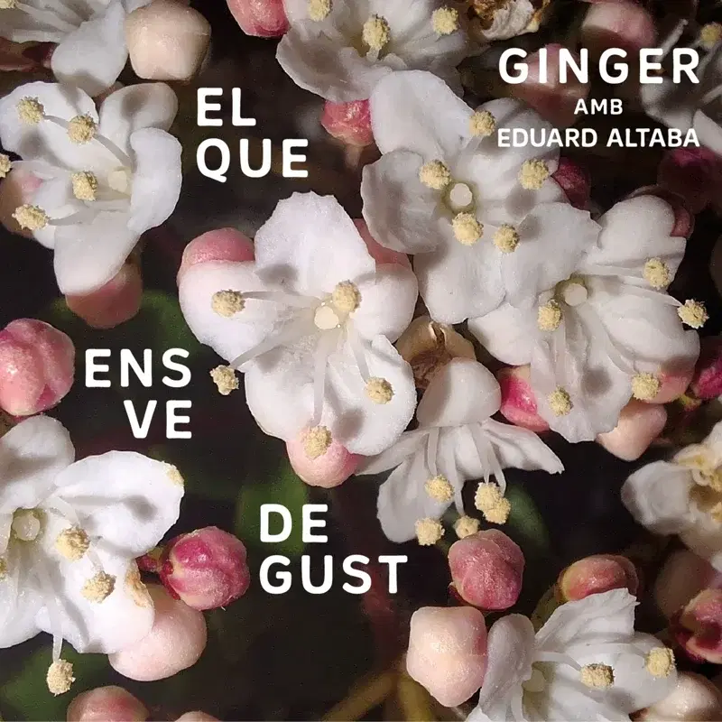El que ens ve de gust, Ginger amb Eduard Altaba
