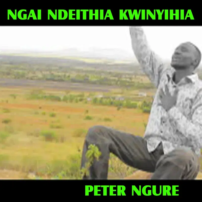 Ngai Ndeithia Kwinyihia
