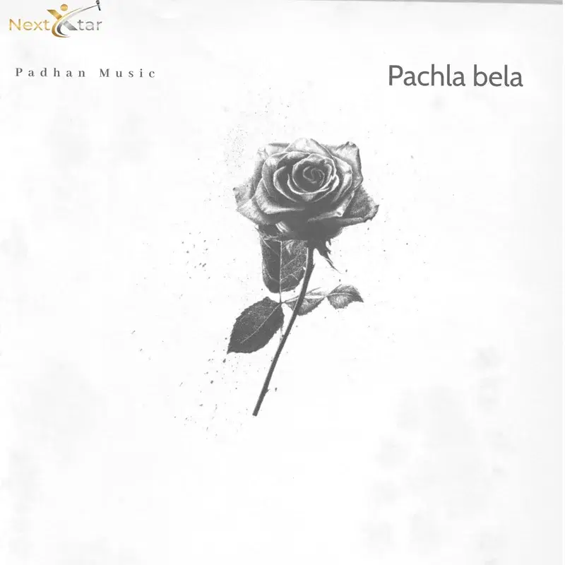 Pachla Bela
