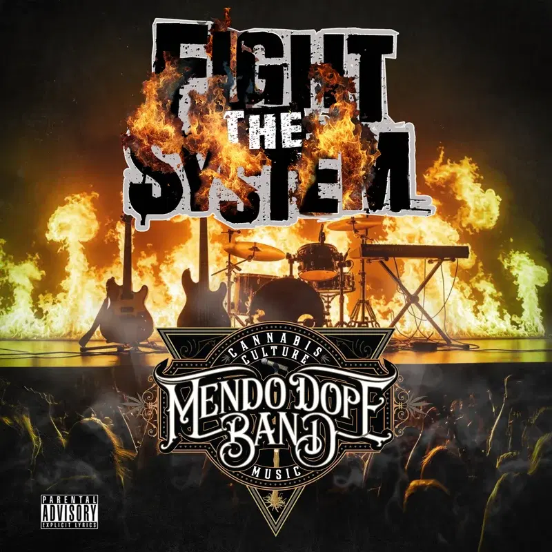 Fight the System