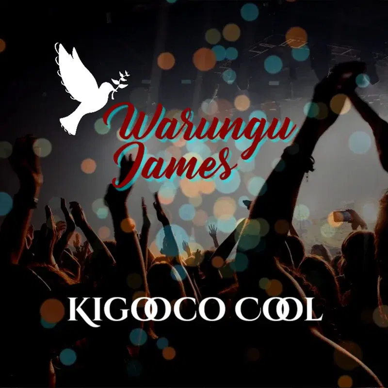 Kigooco Cool