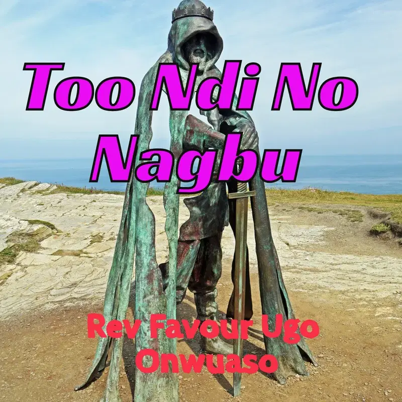 Too Ndi No Nagbu