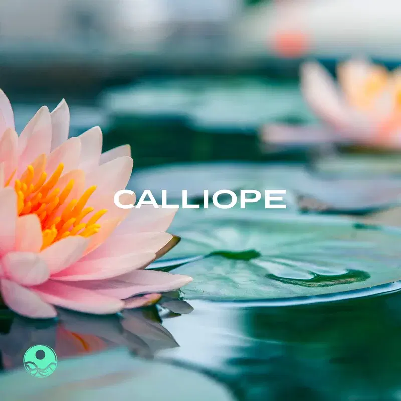 Calliope