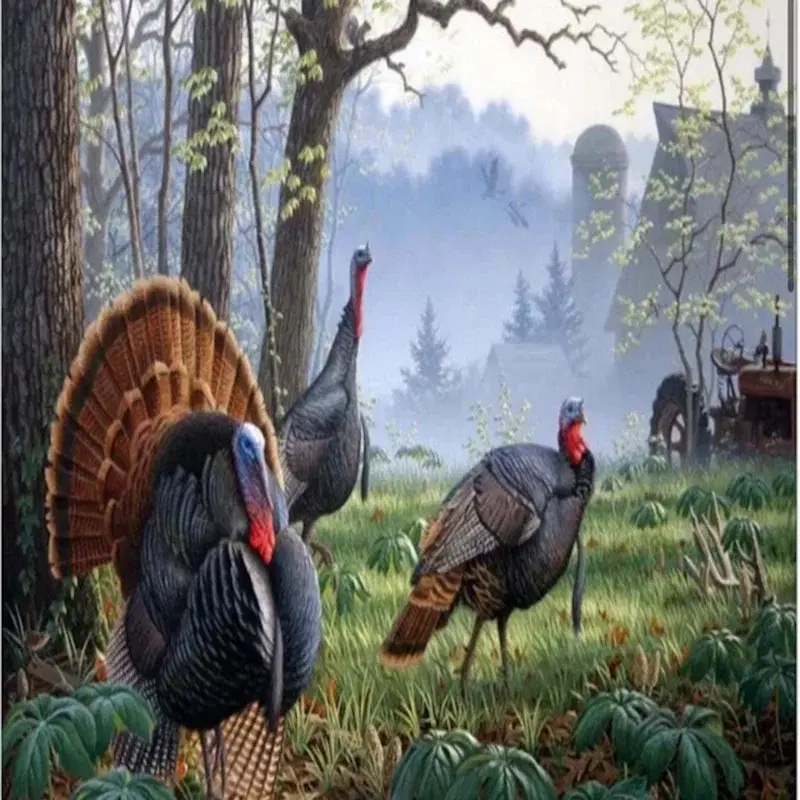 Cover Art