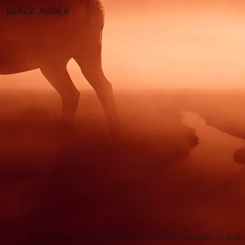 Black Crows in the Sky... With Thoughts of Rain