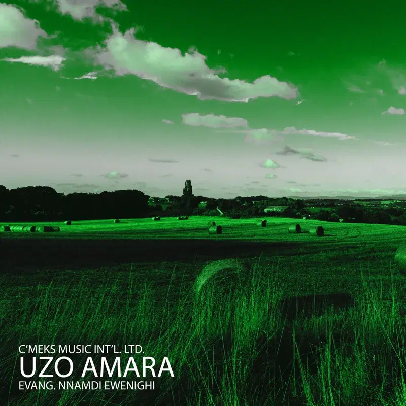 Uzo Amara
