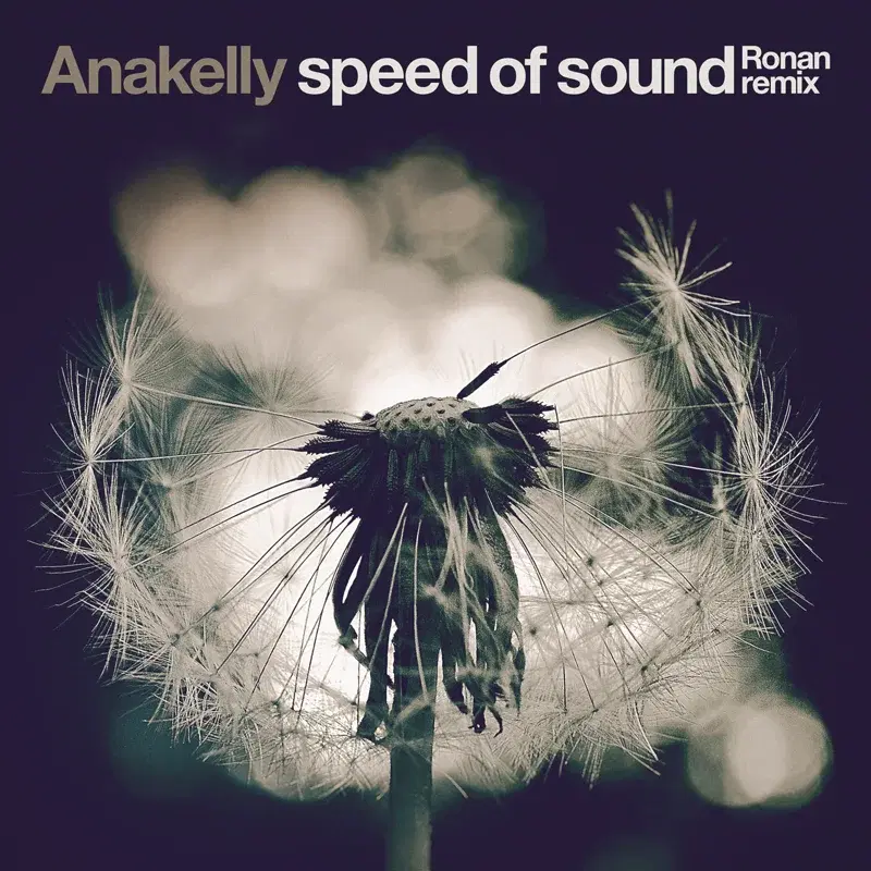 Speed of Sound