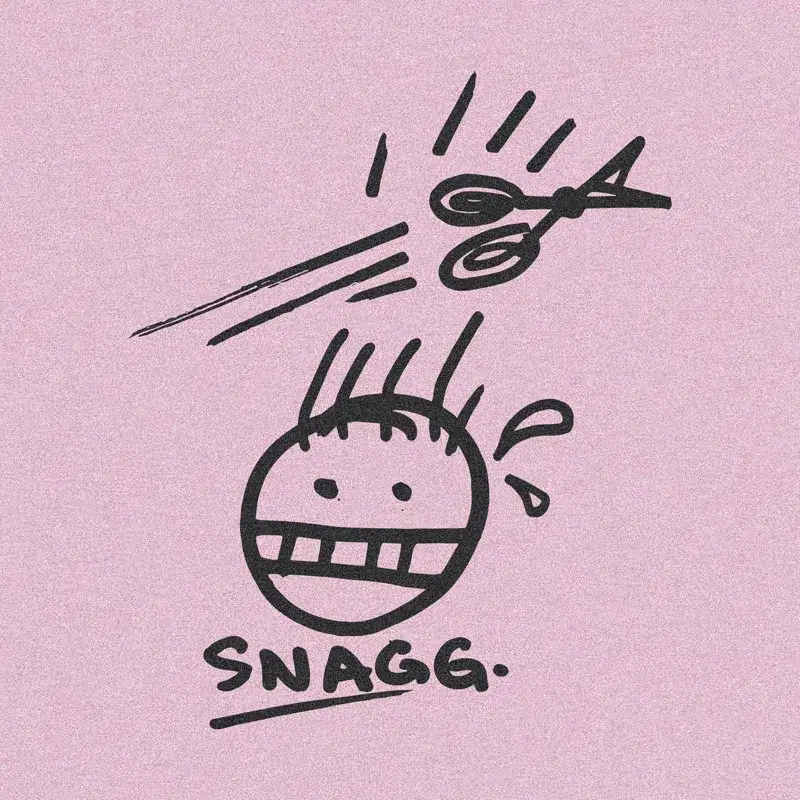 Snagg