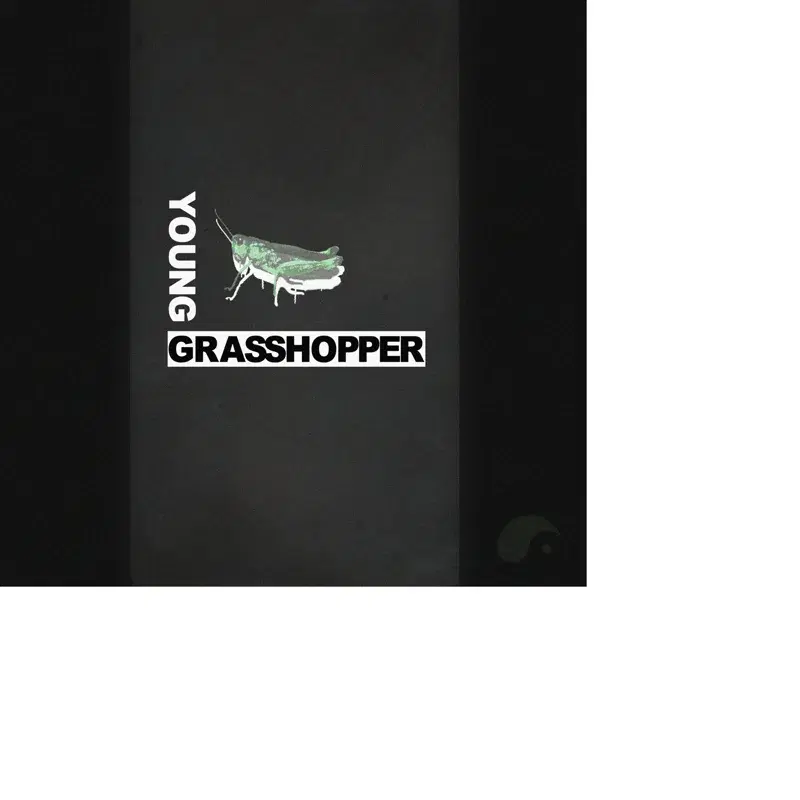 Young Grasshopper