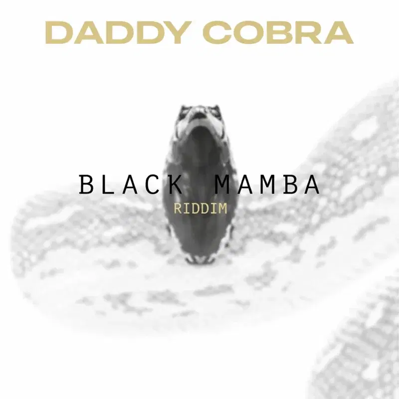 BLACK MAMBA RIDDIM