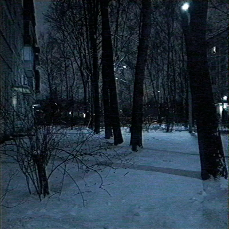 the right to solitude