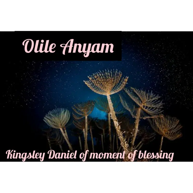 Olile Anyam