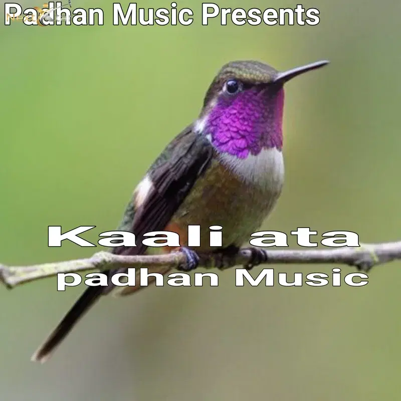 Kaali Ata