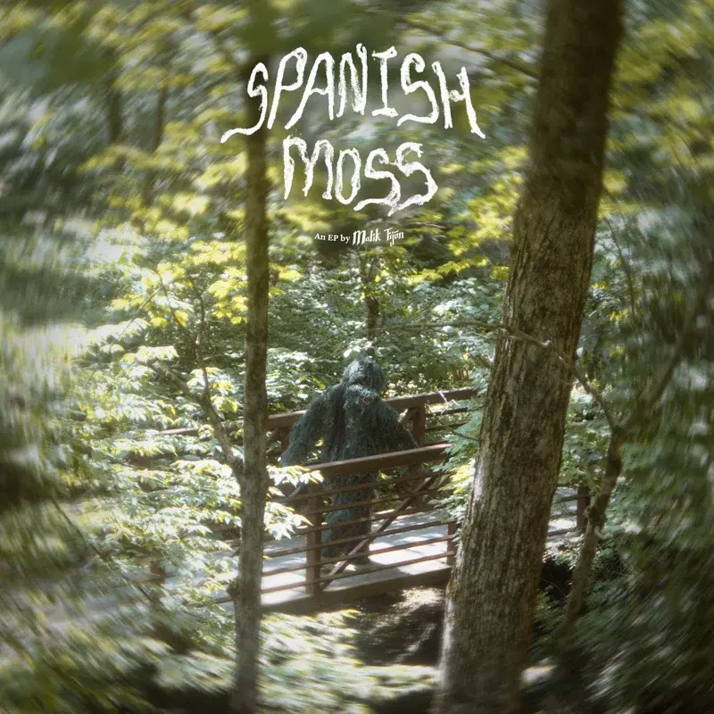 Spanish Moss