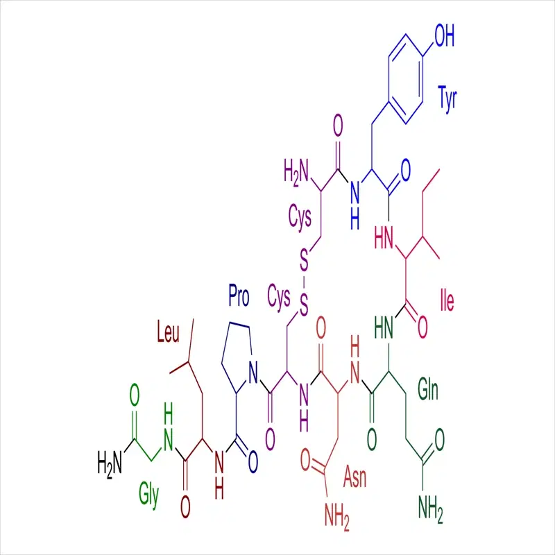 Oxytocin