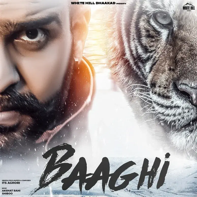 Baaghi
