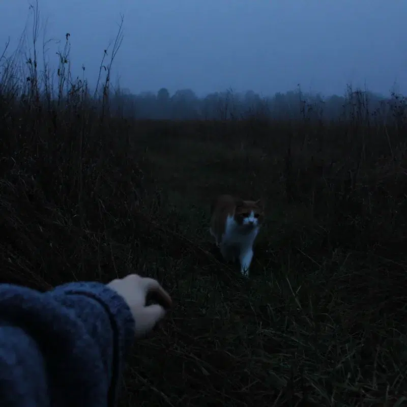 i will never let you go
