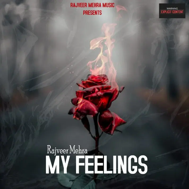 My Feelings