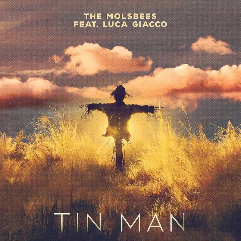 Tin Man