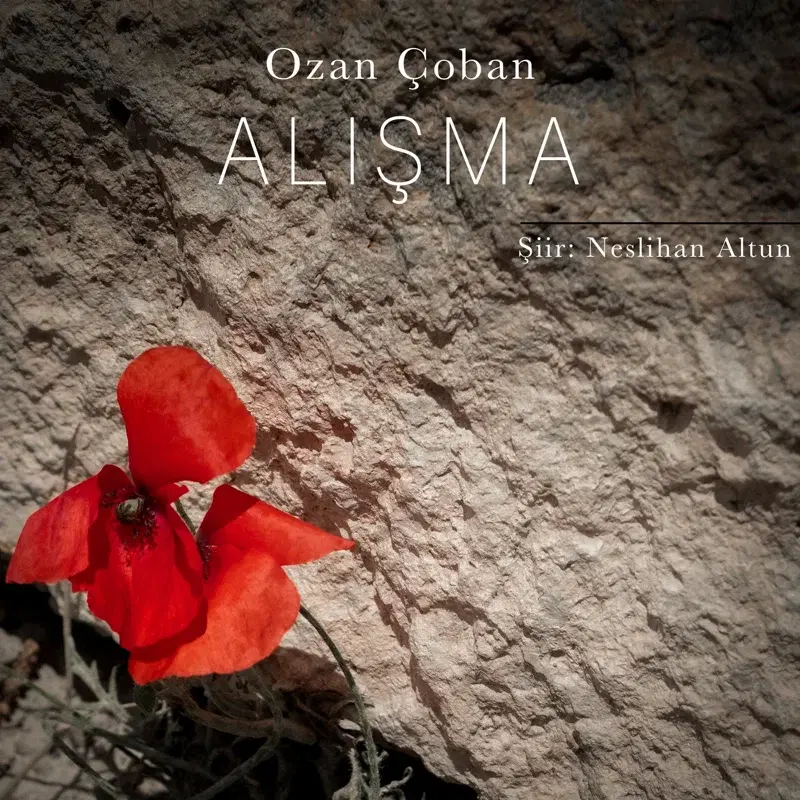 Alışma