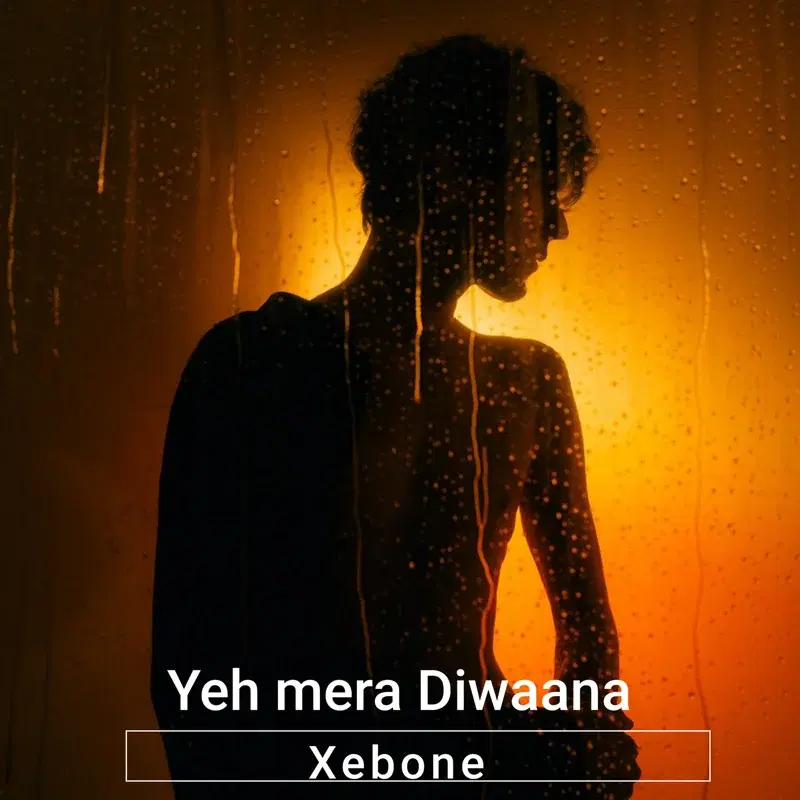 Yeh mera Diwaana