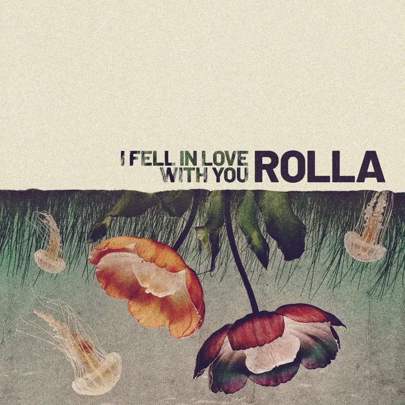 I Fell In Love With You