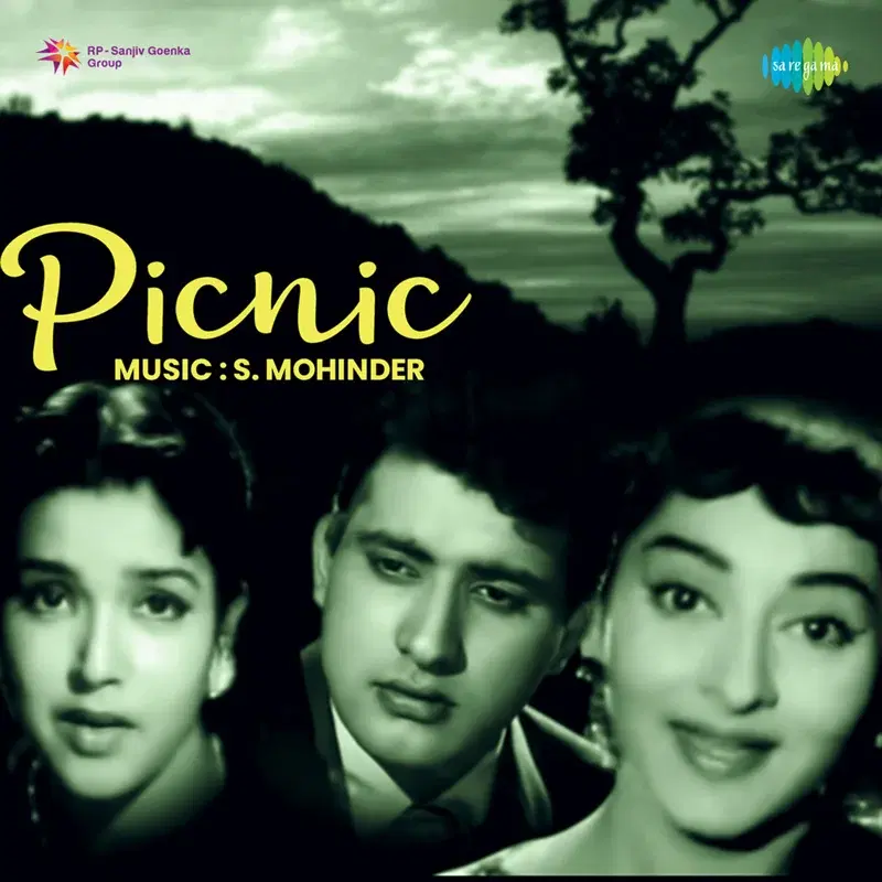 Picnic (Original Motion Picture Soundtrack)