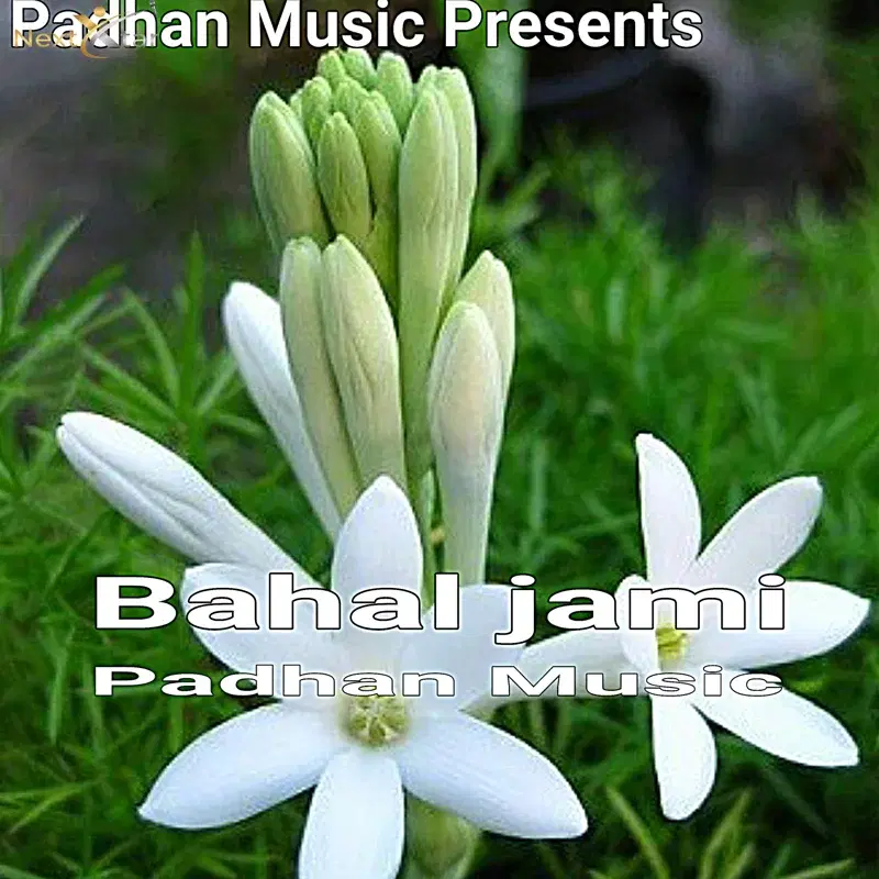 Bahal Jami