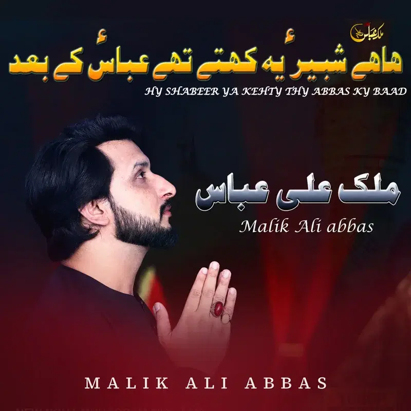 Hy Shabeer Ya Kehty Thy Abbas Ky Baad