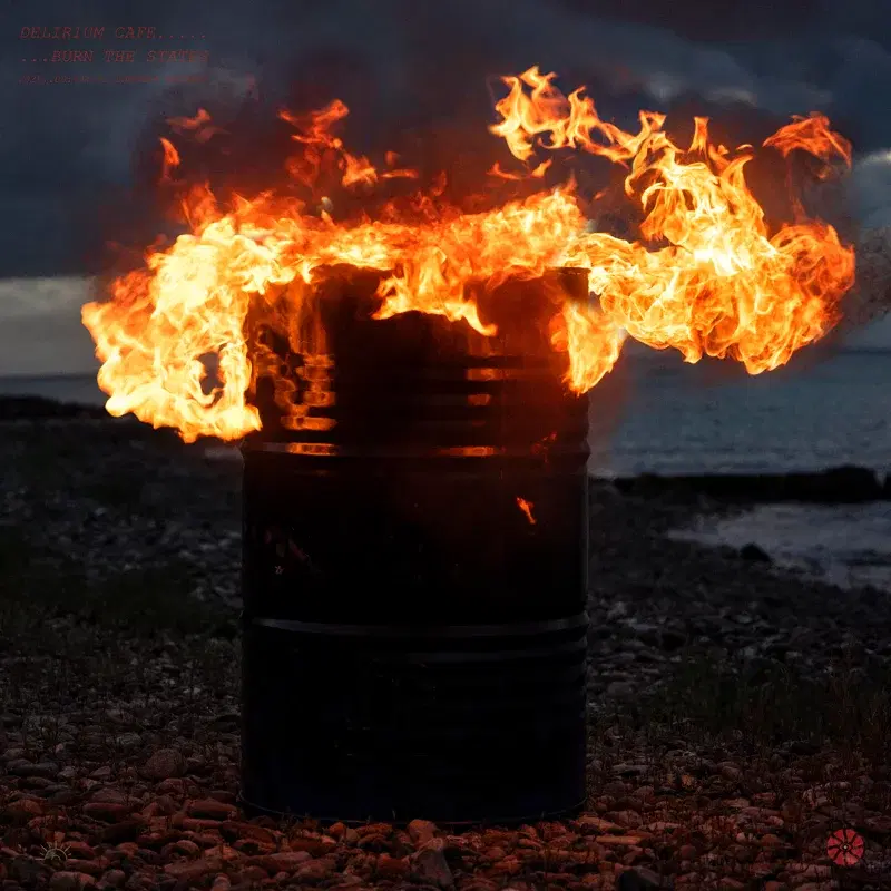 BURN THE STATES