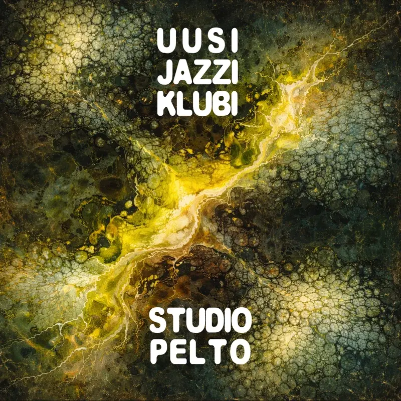 at Studio Pelto