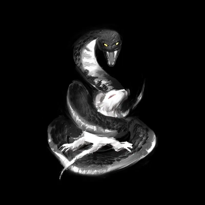 Chaos