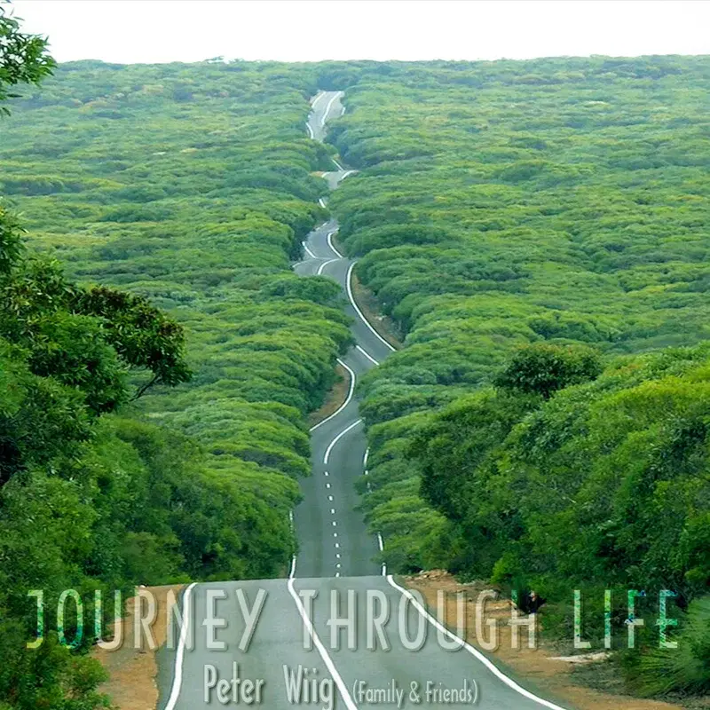 Journey Through Life