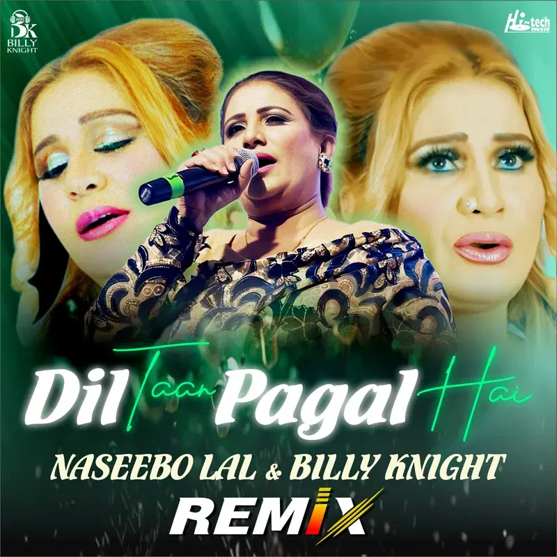 Dil Taan Pagal Hai