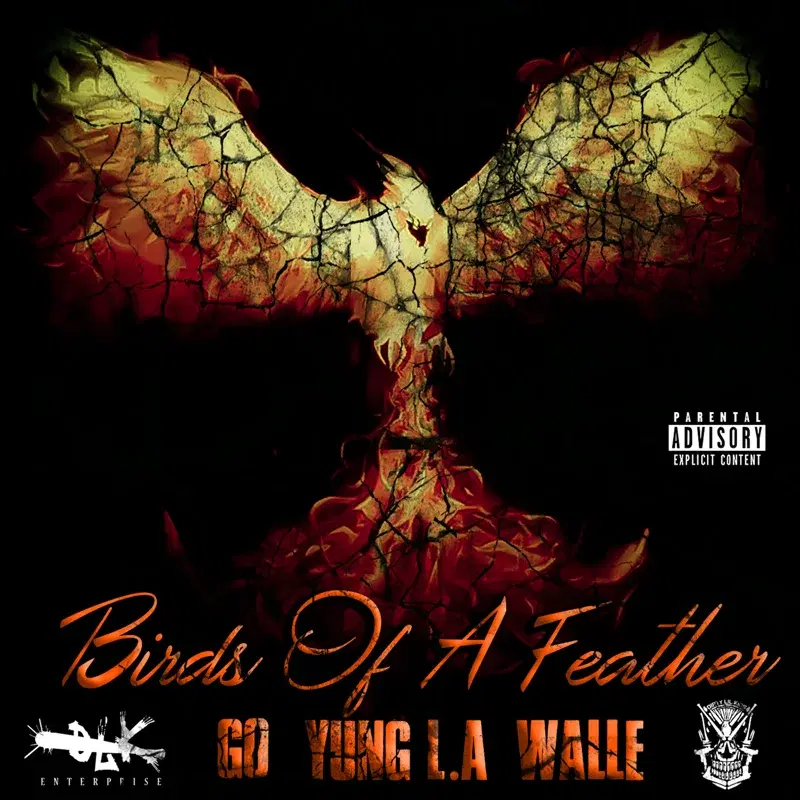 Birds of Feather