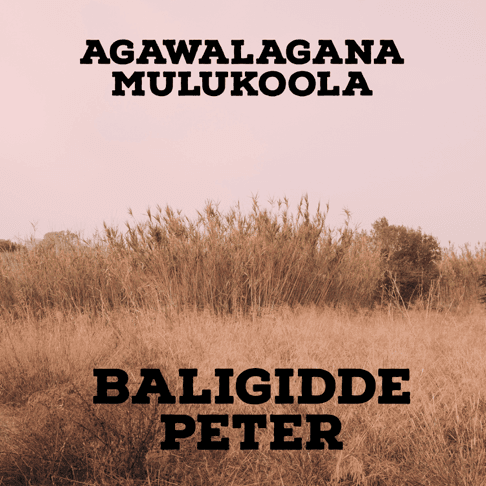 Agawalajana Mulukoola