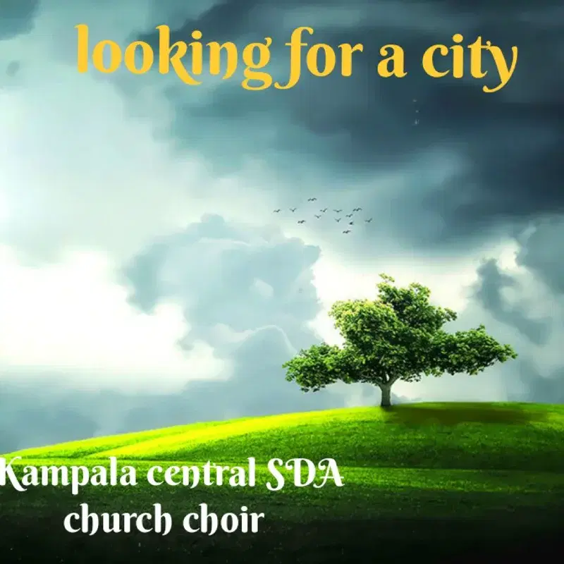 Looking for a city